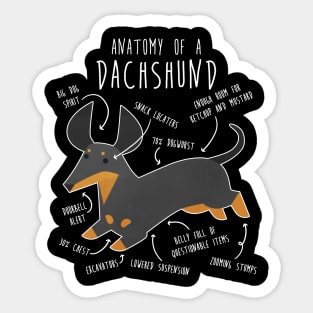 Black and Tan Dachshund Dog Anatomy Sticker